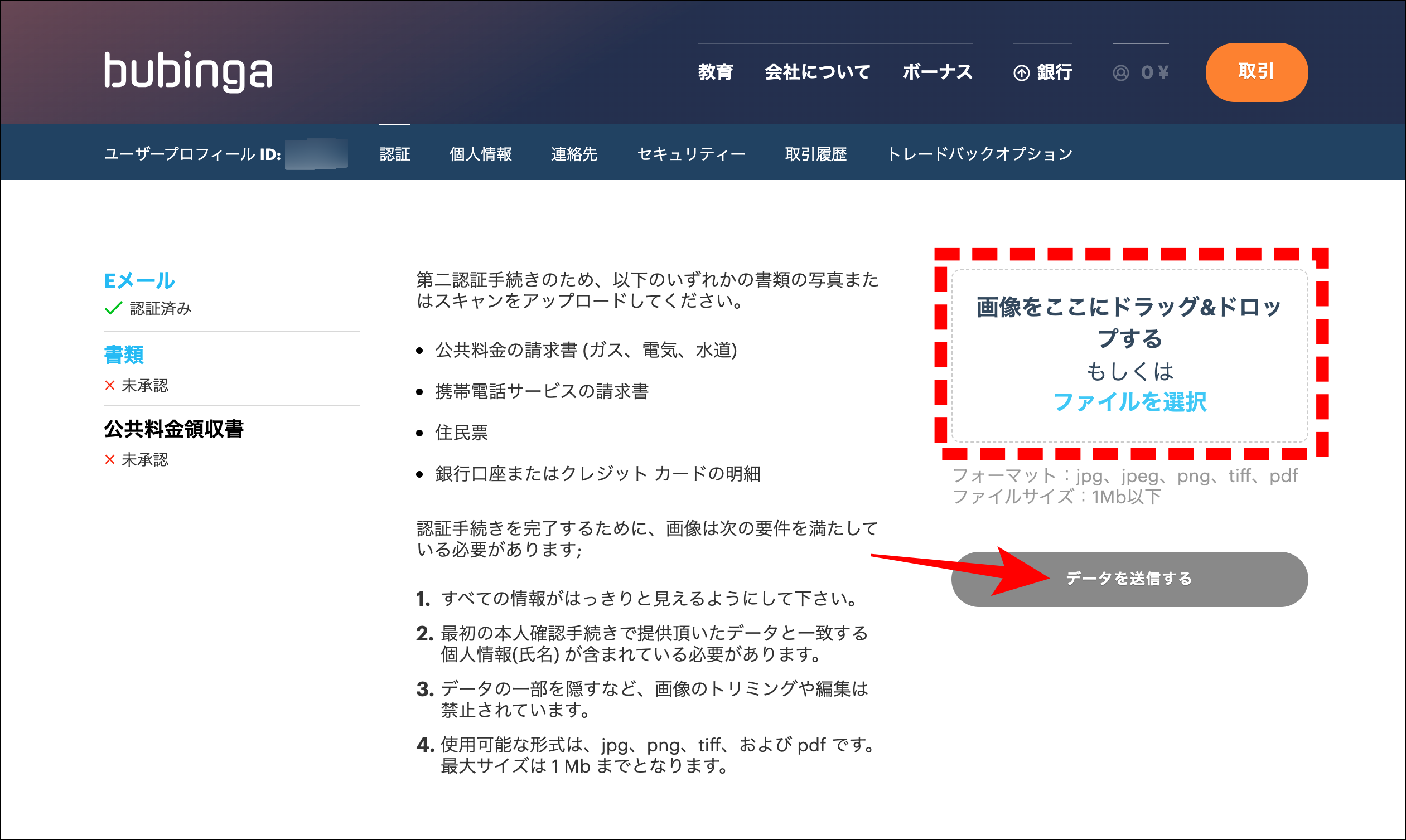 ブビンガバイナリーの使い方|口座開設の流れと失敗しないためのコツ